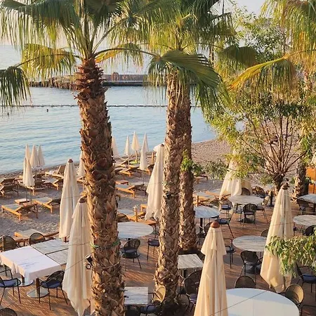 Studio- Mont Boron, Piscine Sur La Lägenhet *