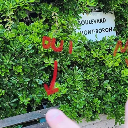 Studio- Mont Boron, Piscine Sur La Apartament Nicea